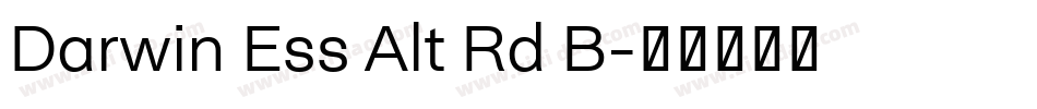 Darwin Ess Alt Rd B字体转换